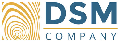 DSM Company